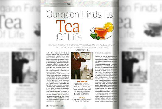 DLF City News features Teacupsfull Tea Master