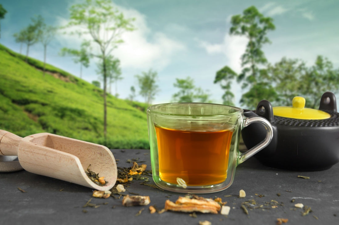 assam tea guide