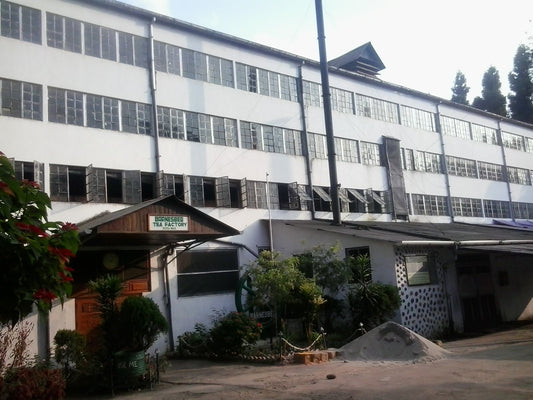 Barnesbeg Tea Estate, Darjeeling
