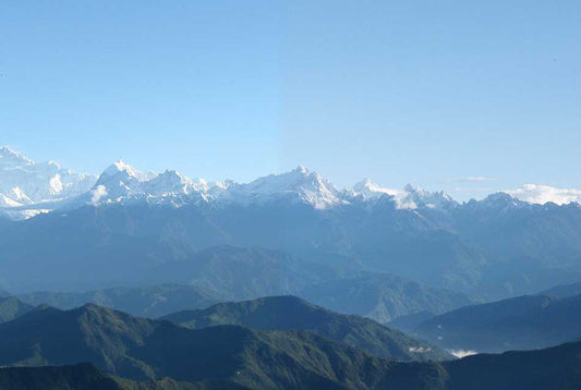 Darjeeling Queen of the Hills, Darjeeling Tea - www.teacupsfull.com; 