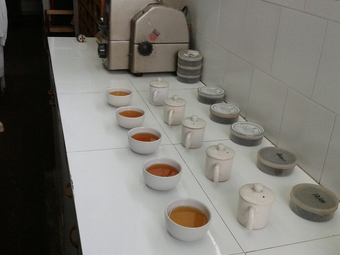 Tea Tasting , What does Darjeeling Tea taste like, Tea Cups, Tea cups online, Tea cups full, www.teacupsfull.com