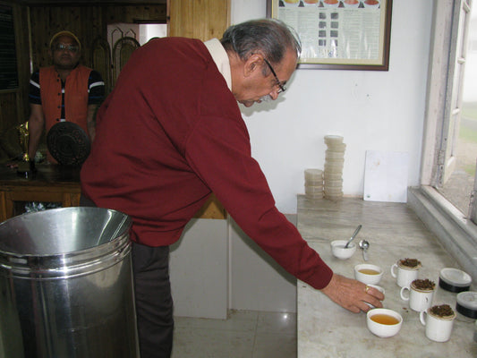 Thurbo Tea Estate, Darjeeling — The Garden Wrapped in Fog