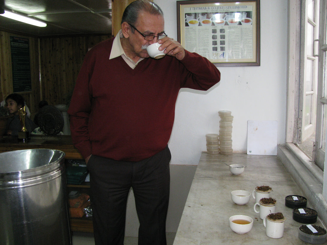 N K Puri Goodricke Group, Darjeeling Tea Taster, Curator of Darjeeling Tea, 