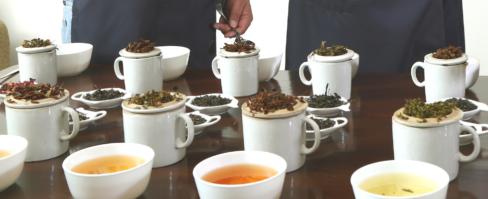 tea tasting