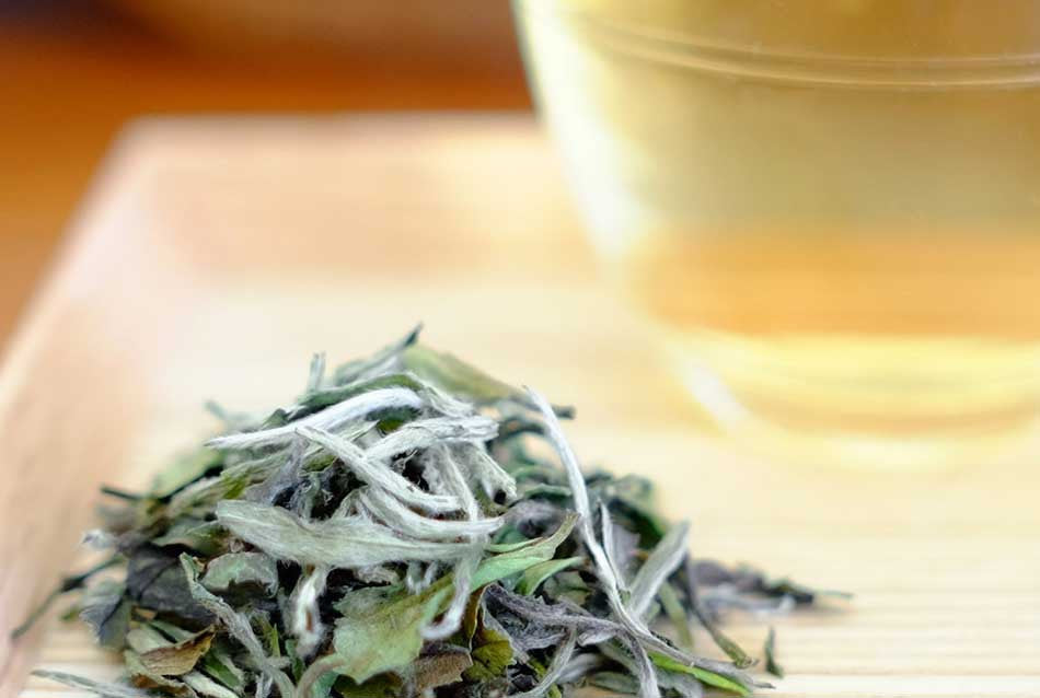 White Tea – The Best Gourmet Tea