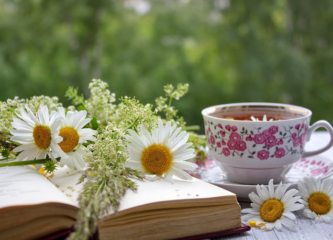 The Many Health Benefits of Drinking Chamomile Tea