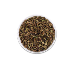 Moroccan Mint Green
